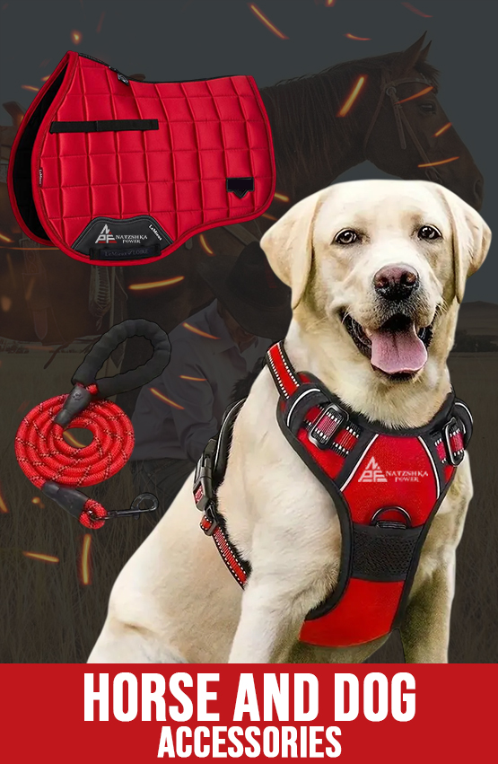 Horse and Dog Accessories